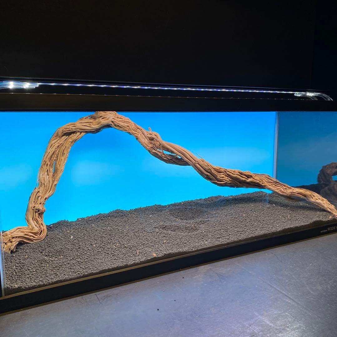 MTW-6748 蔦流木1点物　90cm水槽用流木　アクアリウム