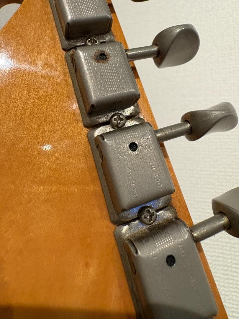 Bill Lawrence Trigger II テレキャスター