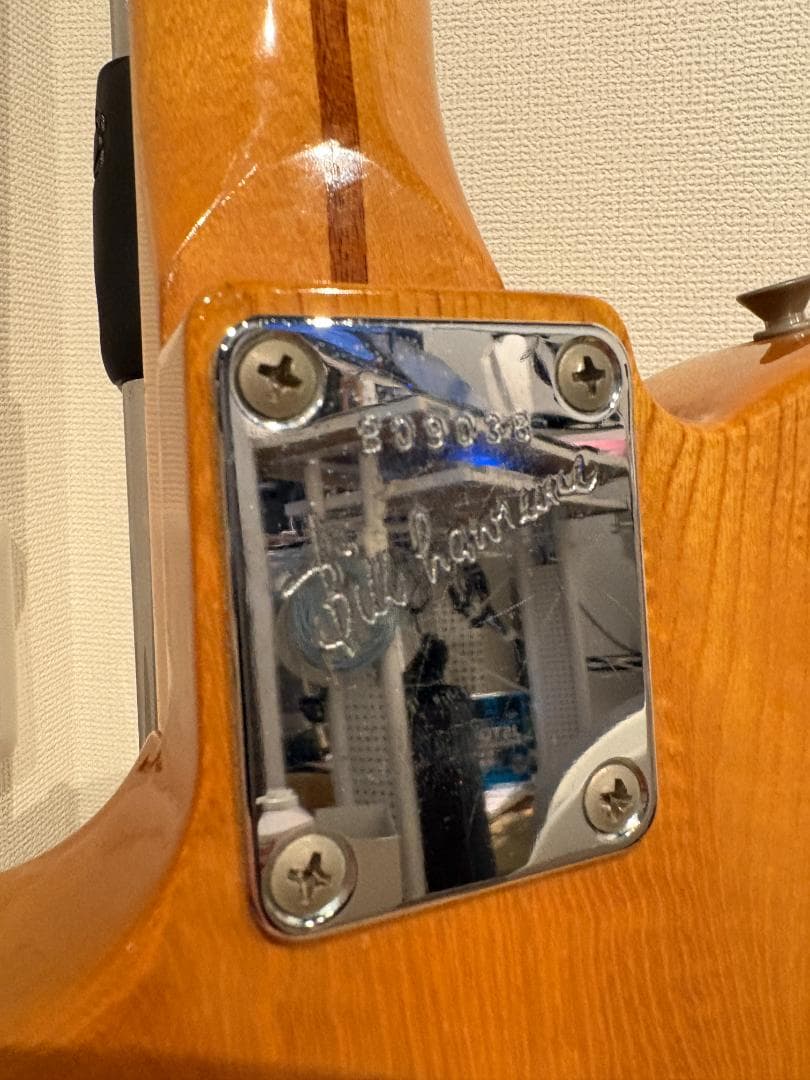 Bill Lawrence Trigger II テレキャスター