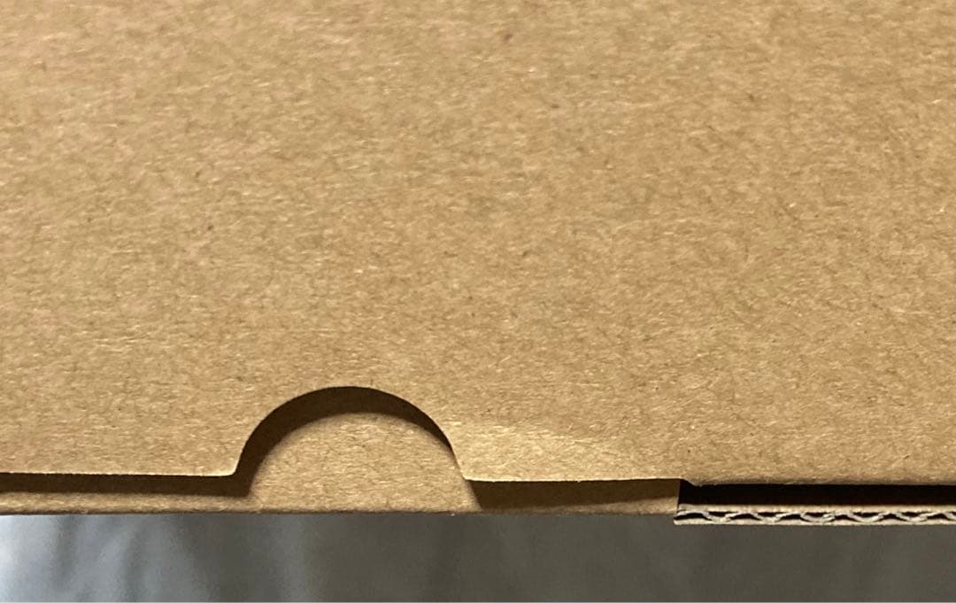 【あみあみ限定版】「リュー・リオン」レベル6Ver. 1/7　フィギュア