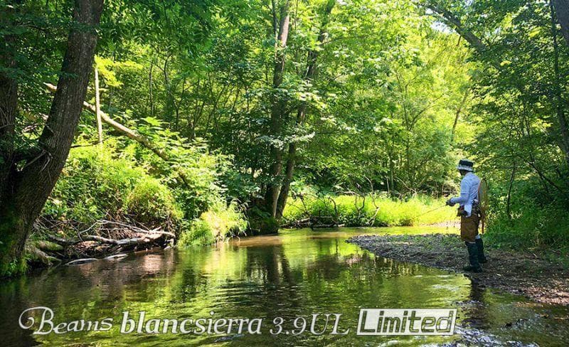 ロッド Fishman Beams blancsierra3.9UL LIMITED/*