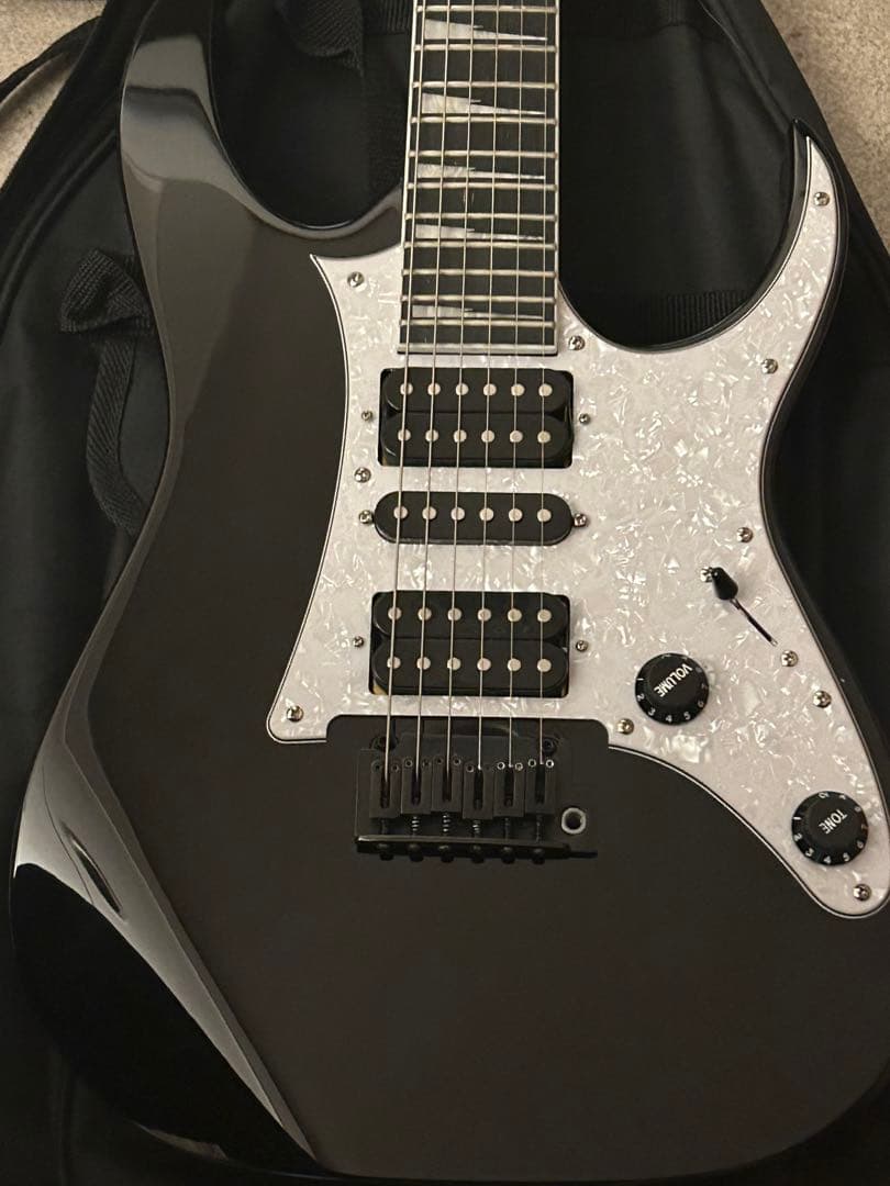 Ibanez RGV250-BK ソフトケース アーム 説明書付属 値下げ交渉〇