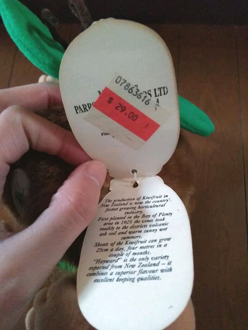 キウイフルーツ　BIGぬいぐるみ