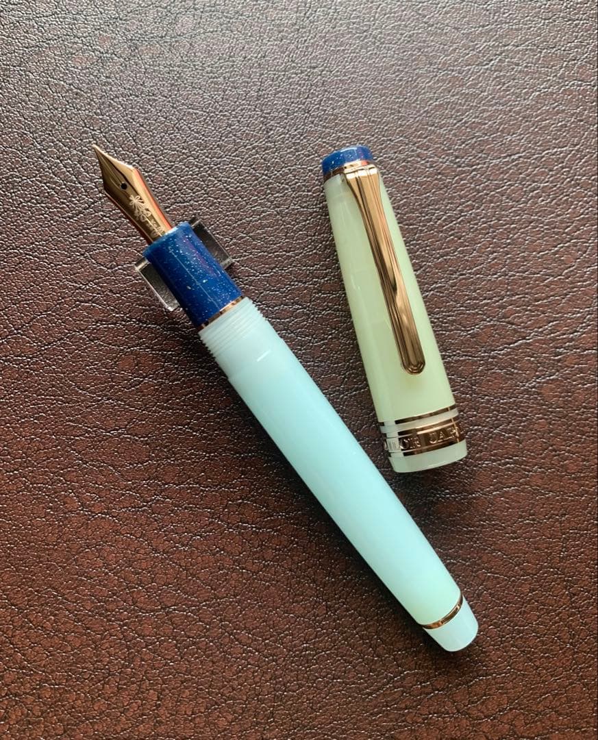 海外限定セーラー万年筆 プロギアスリム ドライフラワーシリーズ アジサイM
