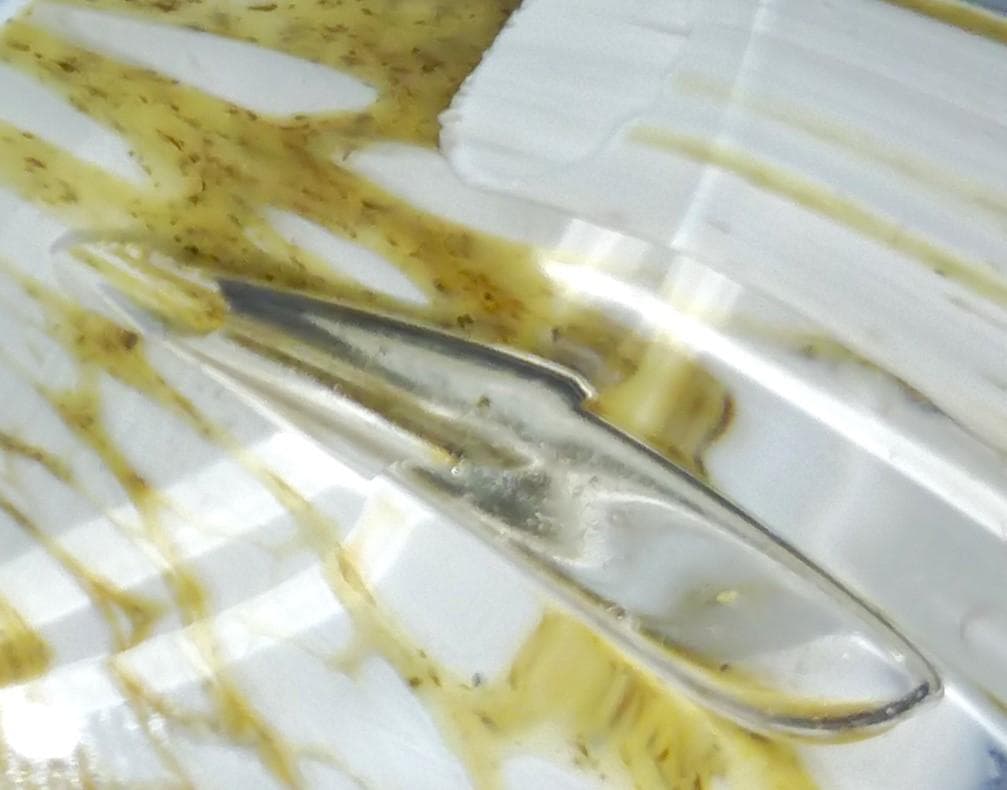 Marcolin Art Crystal マルコリン・アート・クリスタル 貝殻