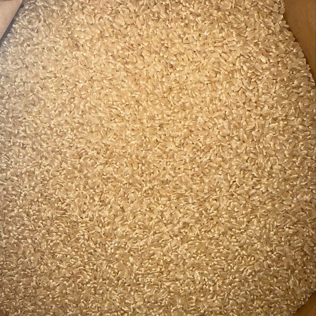 栃木県産農家直売コシヒカリ玄米10kg