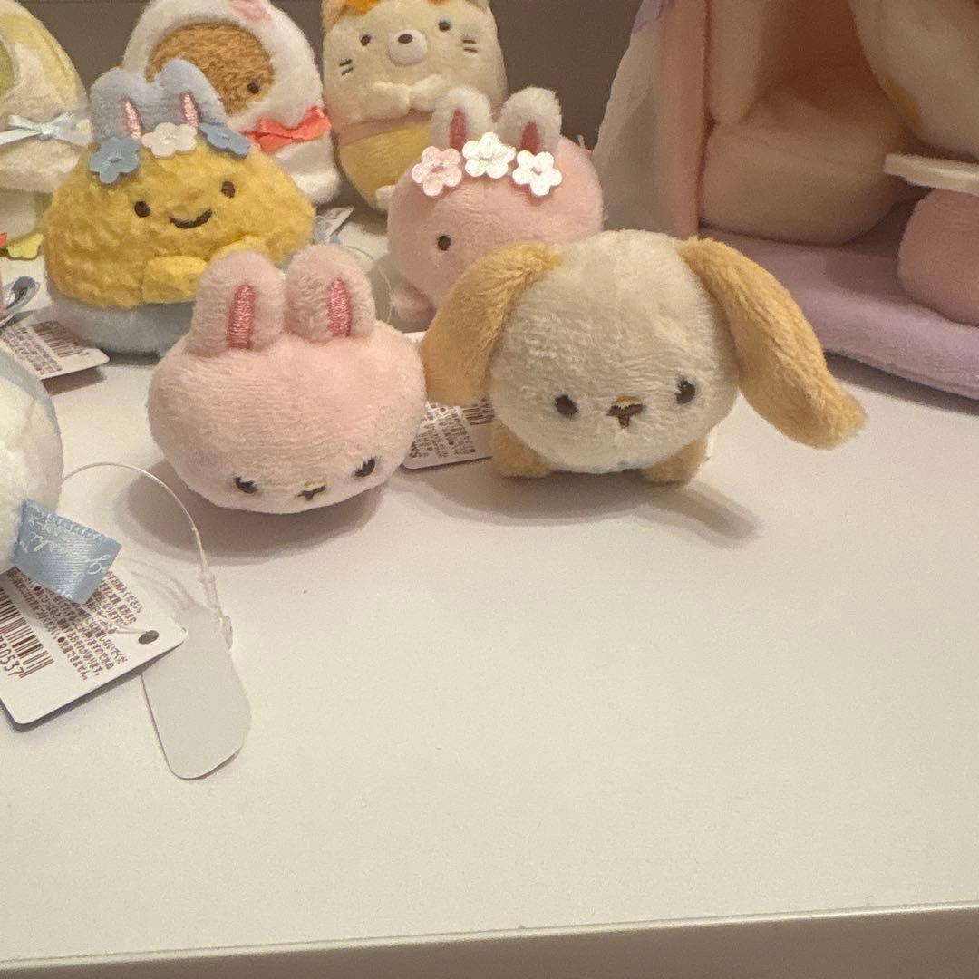 すみっコぐらし ふしぎなうさぎのおにわ てのりぬいぐるみ コンプセット