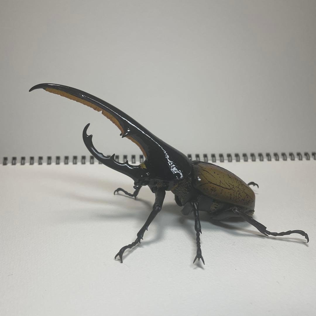 いきもの大図鑑　アドバンス　オンライン版　ヘラクレス　2種