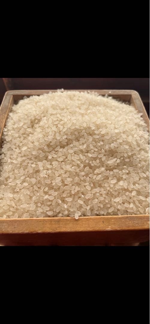 長野県産お米　令和6年度産20kg 2月精米済み