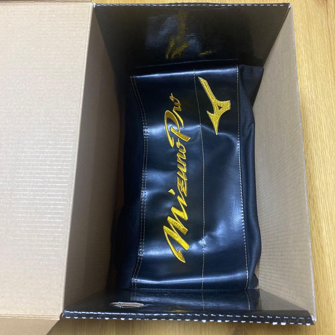 ミズノプロ 硬式グローブ 野球