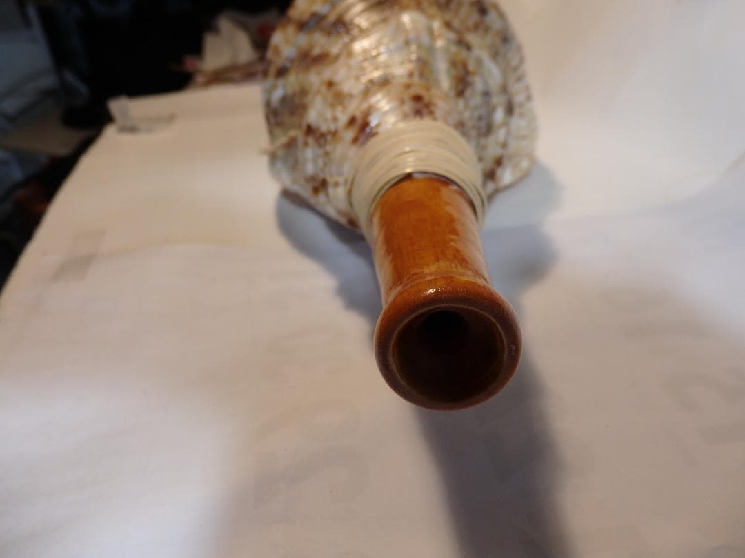 法螺貝 約40㎝ 木製歌口,新品 MH-471