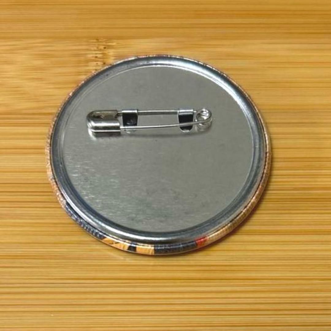 アニカプ REBORN ツナ 沢田綱吉 缶バッジ