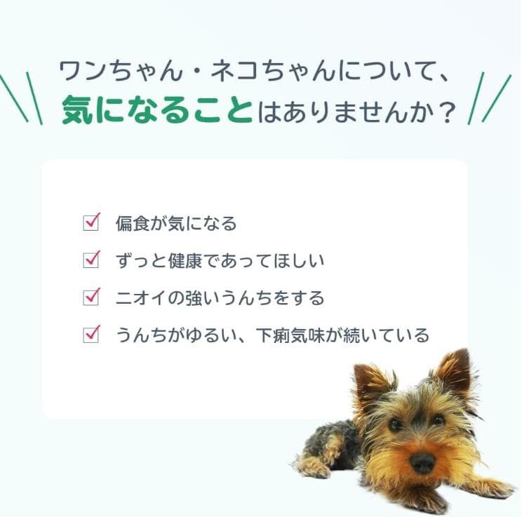 ロイテリ 乳酸菌 犬猫用リキッド Dog&Cat 5mL　1か月分×3箱セット