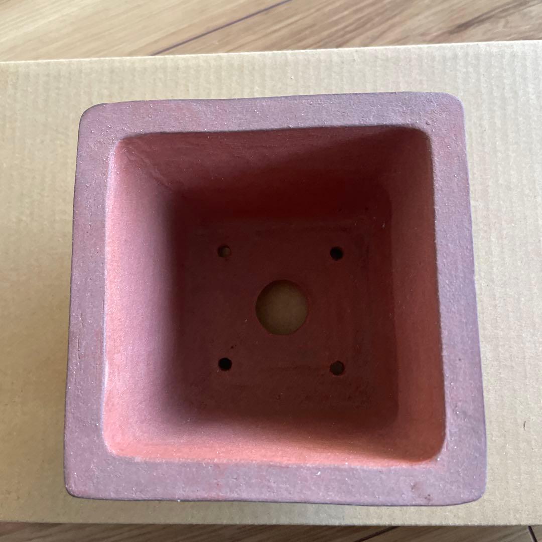 盆栽鉢　桑津香石　植木鉢　落款印　鳥　山野草　大きめ　四角形