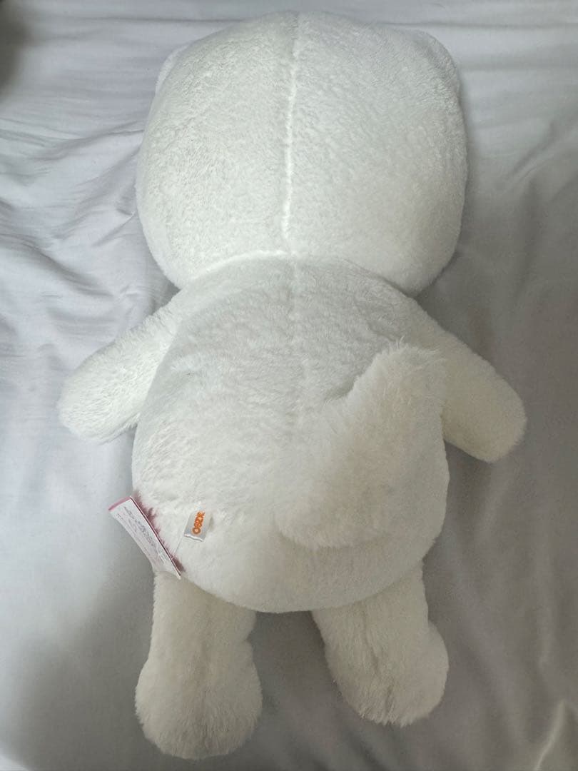 StrayKids テディ　ジニレット