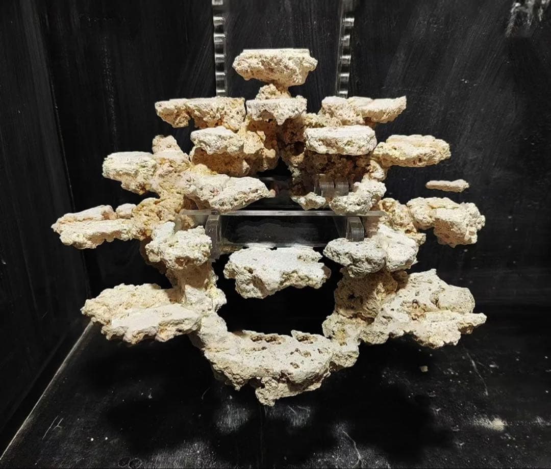 人工ライブロック白色 約5kg 吊り下げ風レイアウト