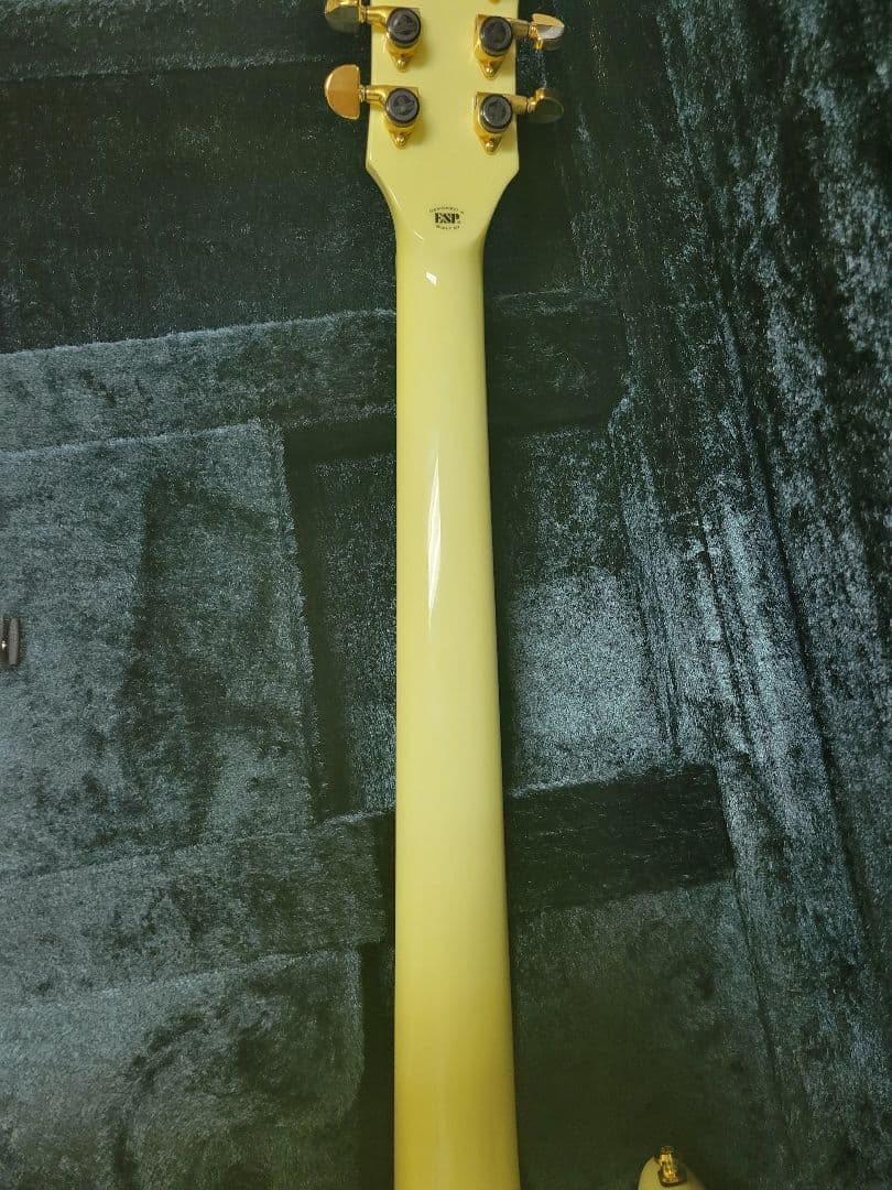 EDWARDS レスポールDC ダブルカッタウェイ 専用ハードケース付