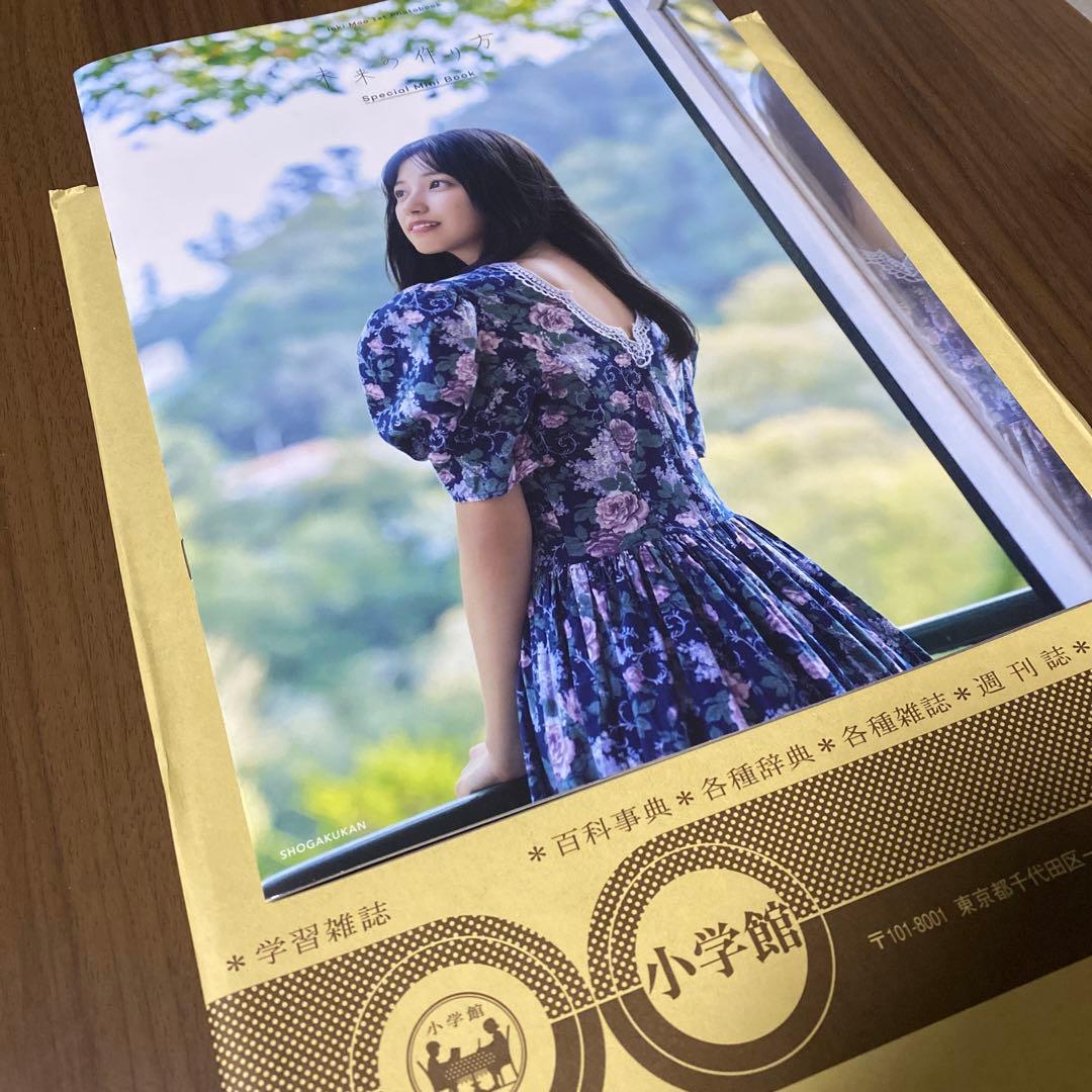 乃木坂46 - 五百城茉央1st写真集「未来の作り方」特製アザーカットミニブック