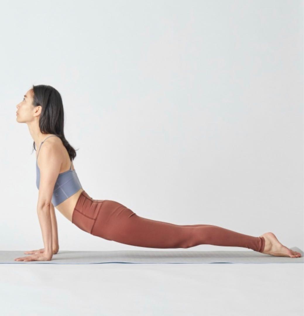 【新品タグ付き】チャコット　スムースレギンス　LL 希少サイズ