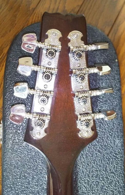 フラットマンドリン アリアAM-200E