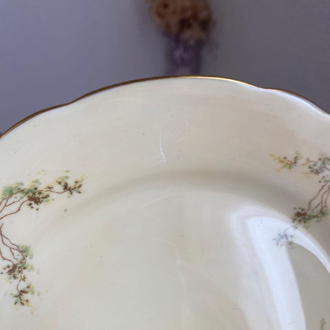 エインズレイ　ブルーベル　クリームイエロー　カルテットカップ　ソーサー　プレート