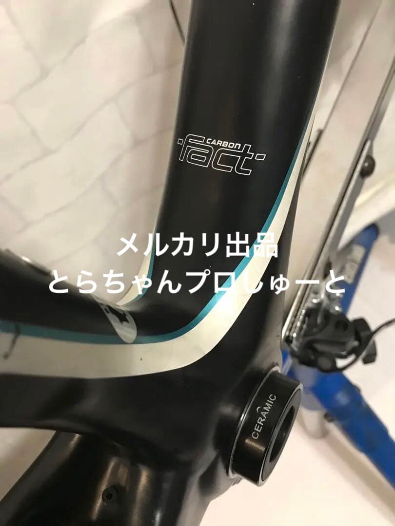 スペシャライズド　Ruby Proフレーム+スパカズボトルゲージ付