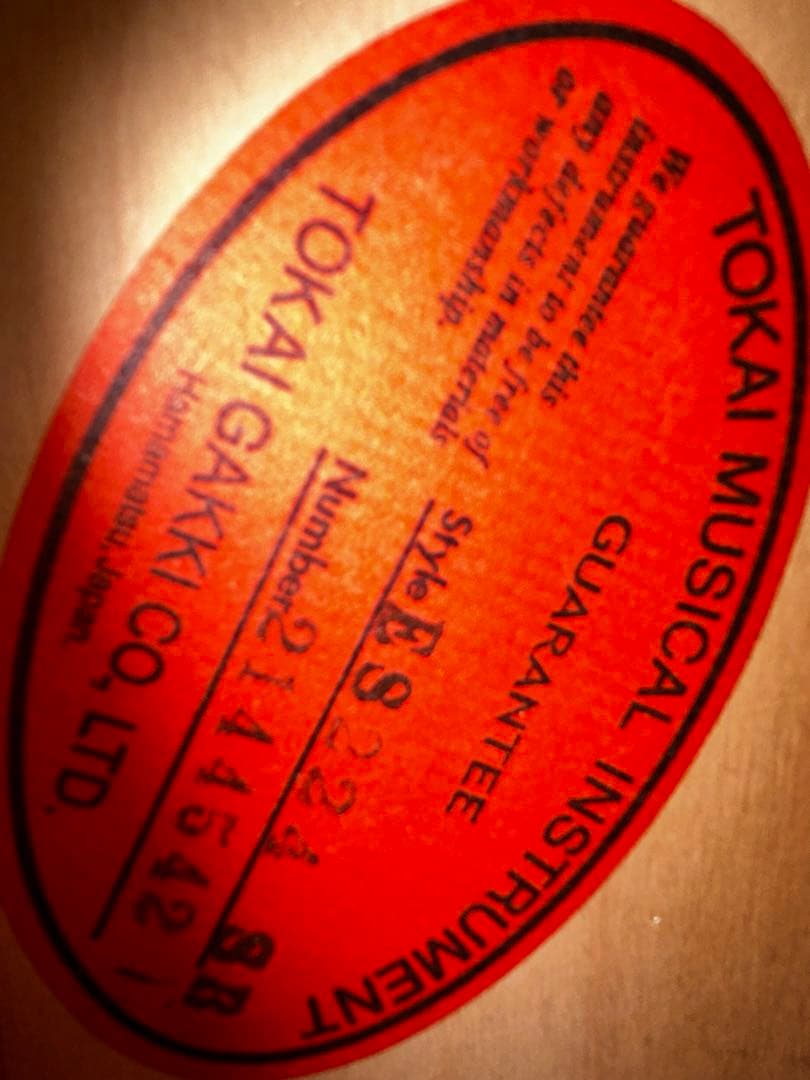 TOKAIes224 専用ハードケース付き