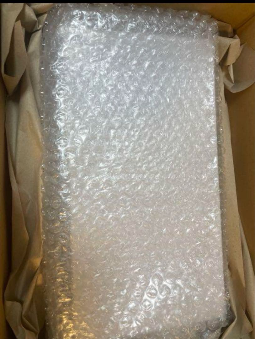 進化のいし　ミニ標本