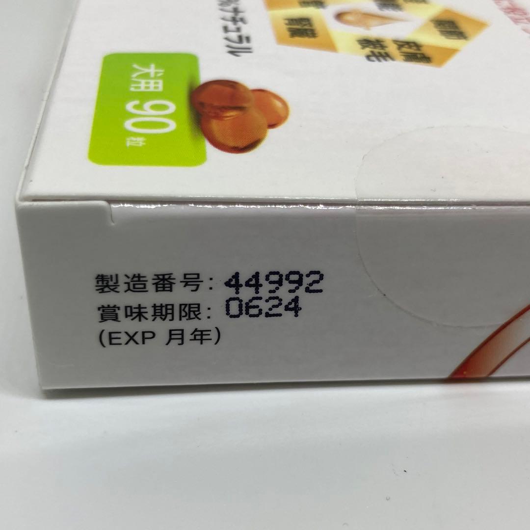 3箱 アンチノール 犬用 サプリメント 90粒 賞味期限2024年6月