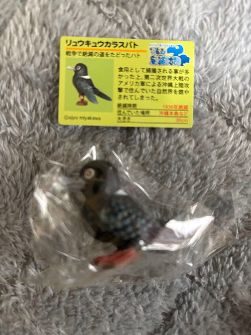 戦え絶滅動物PART2 宮川アジ　ドードー　マンモス　オオカミ　アシカ　キタタキ