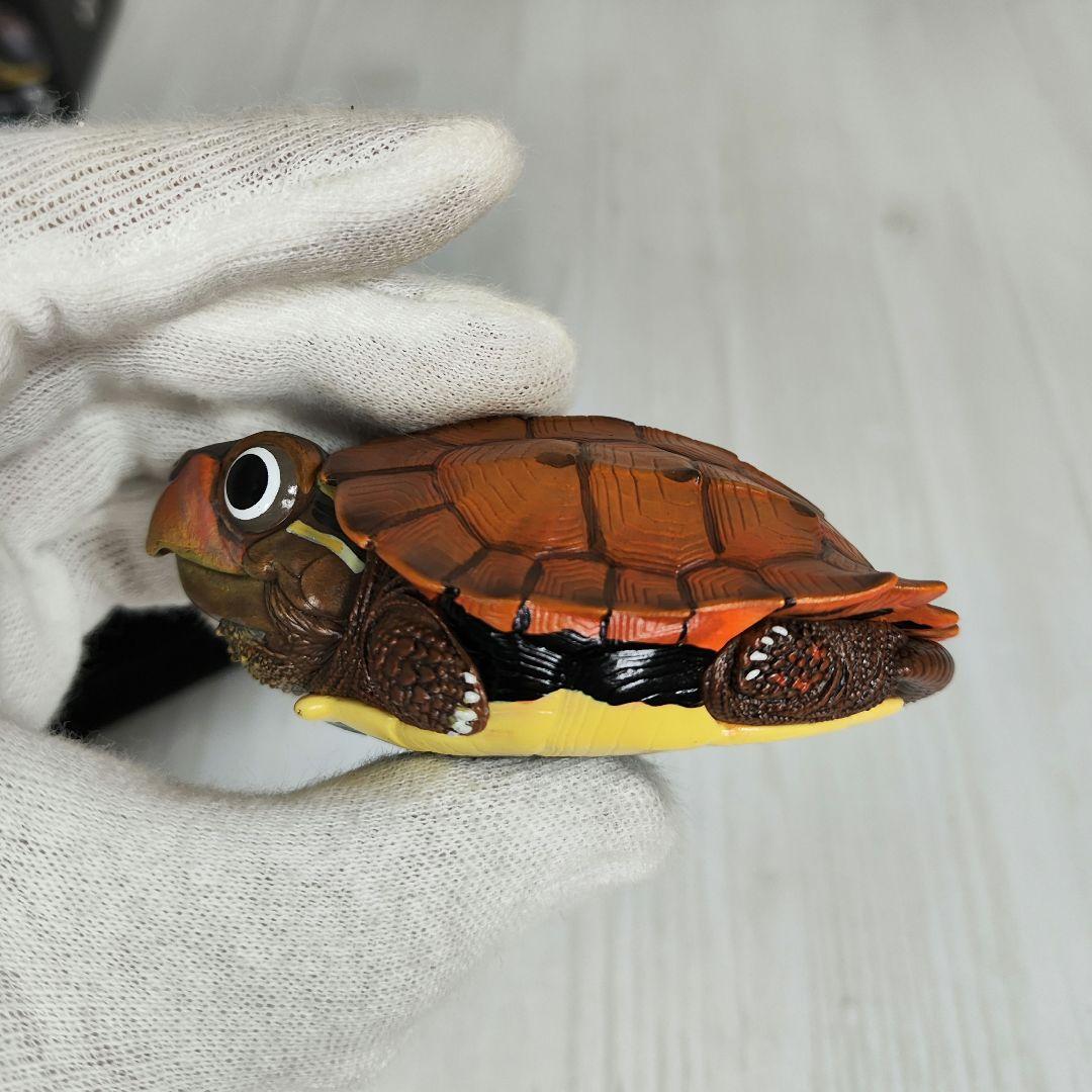 【動物の惑星】レア★スペングラーヤマガメ（シークレット）★フィギュア