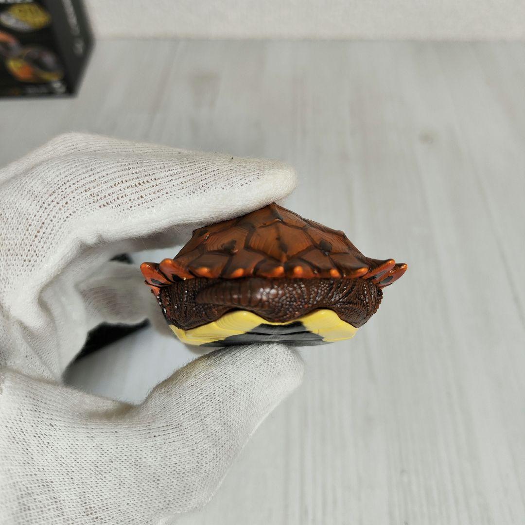 【動物の惑星】レア★スペングラーヤマガメ（シークレット）★フィギュア