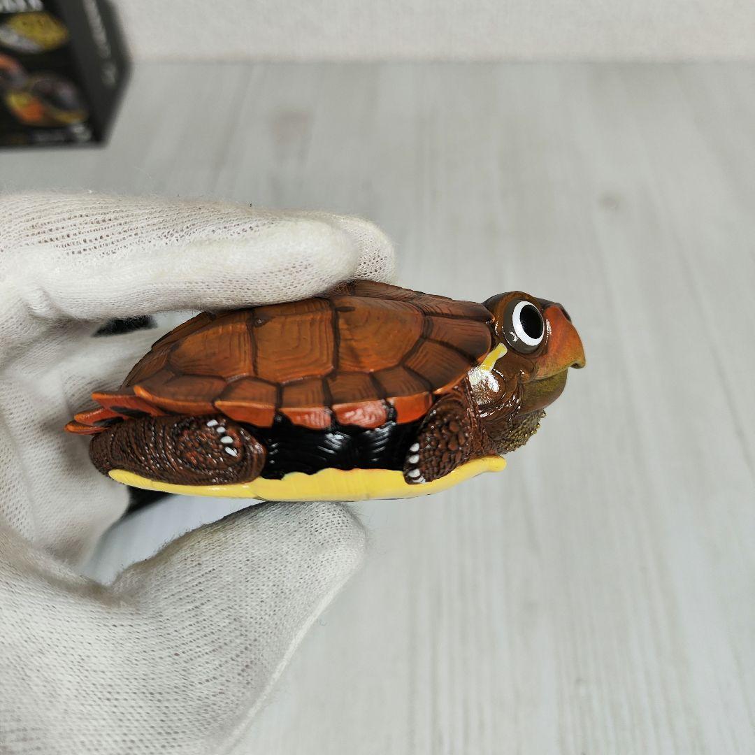 【動物の惑星】レア★スペングラーヤマガメ（シークレット）★フィギュア