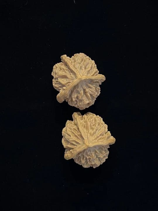 遊び胡桃 超希少 極品 3ムキ 帝王帽 クルミ くるみ コレクション 趣味 健康