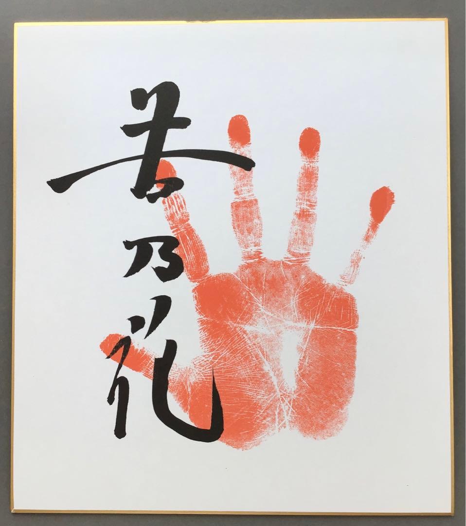 色紙　若乃花、貴乃花直筆揮毫手形　記念写真付　畳紙　配送用袋　S1040SS