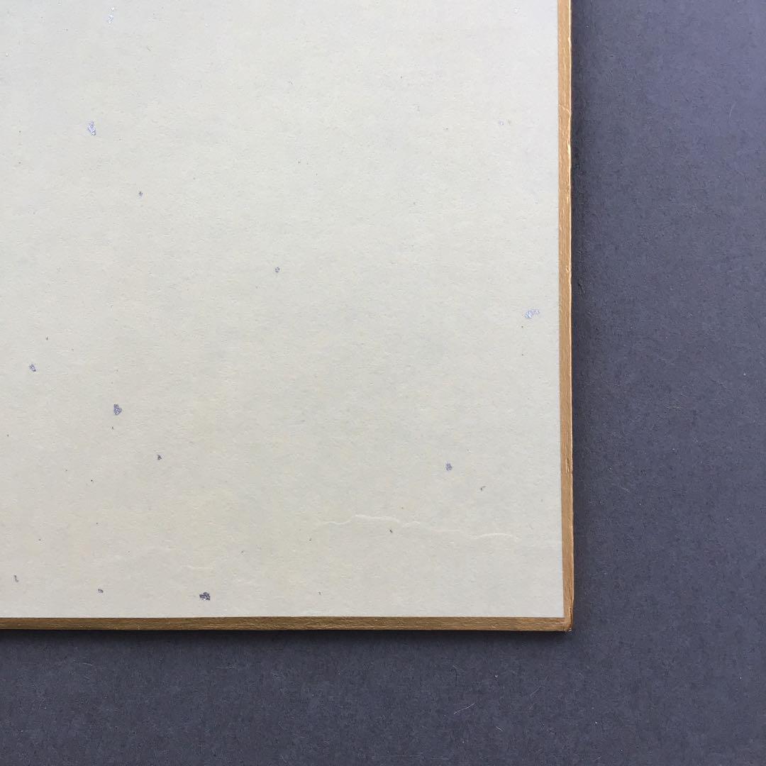 色紙　若乃花、貴乃花直筆揮毫手形　記念写真付　畳紙　配送用袋　S1040SS