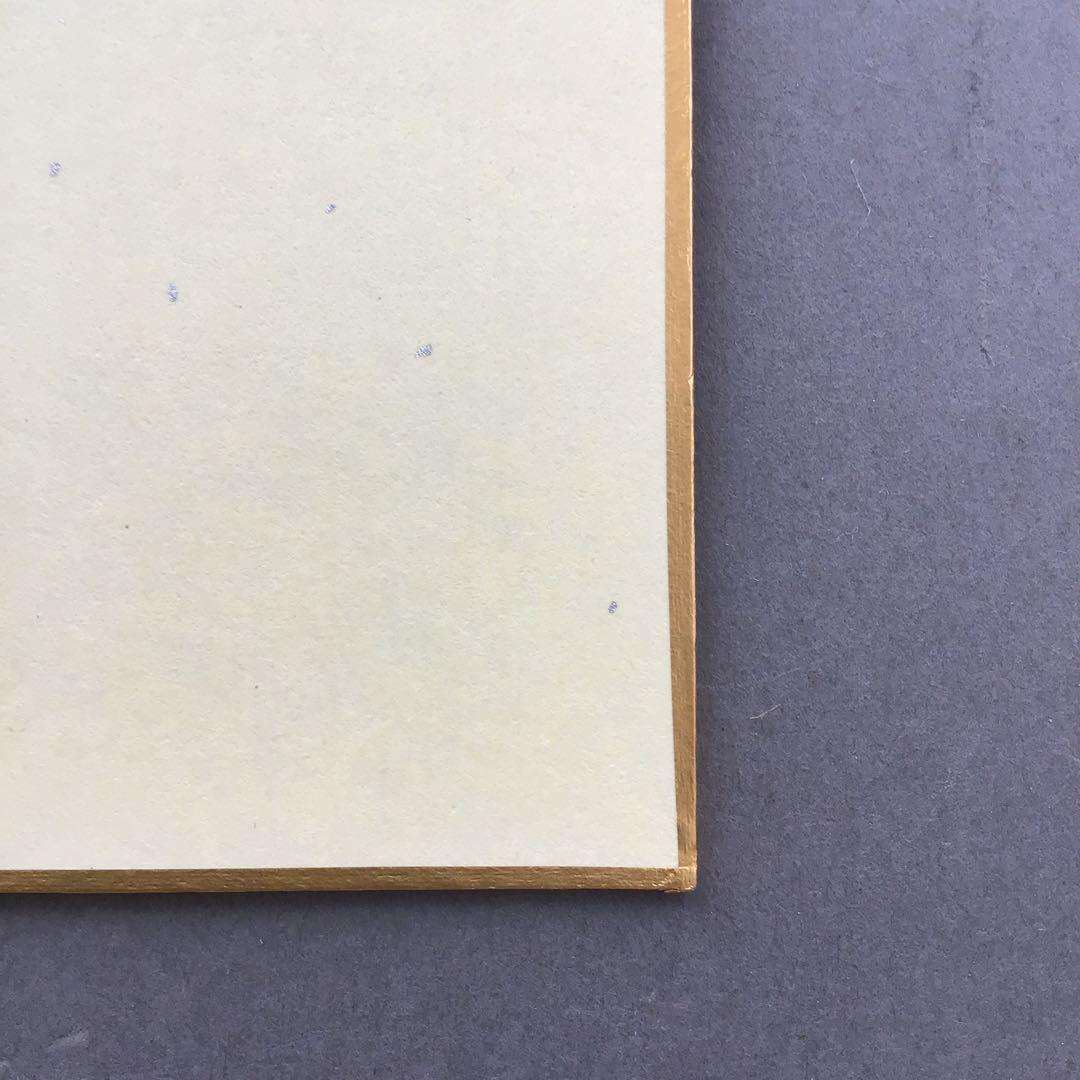 色紙　若乃花、貴乃花直筆揮毫手形　記念写真付　畳紙　配送用袋　S1040SS