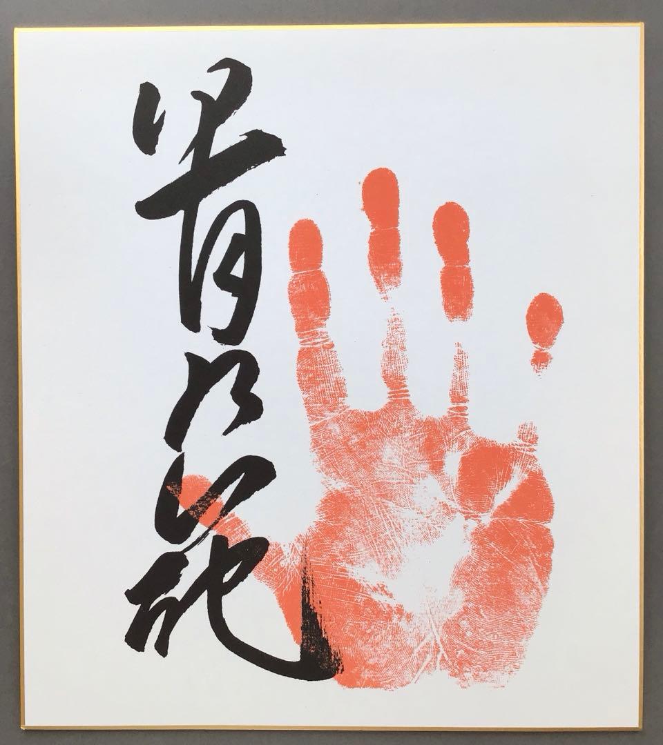 色紙　若乃花、貴乃花直筆揮毫手形　記念写真付　畳紙　配送用袋　S1040SS