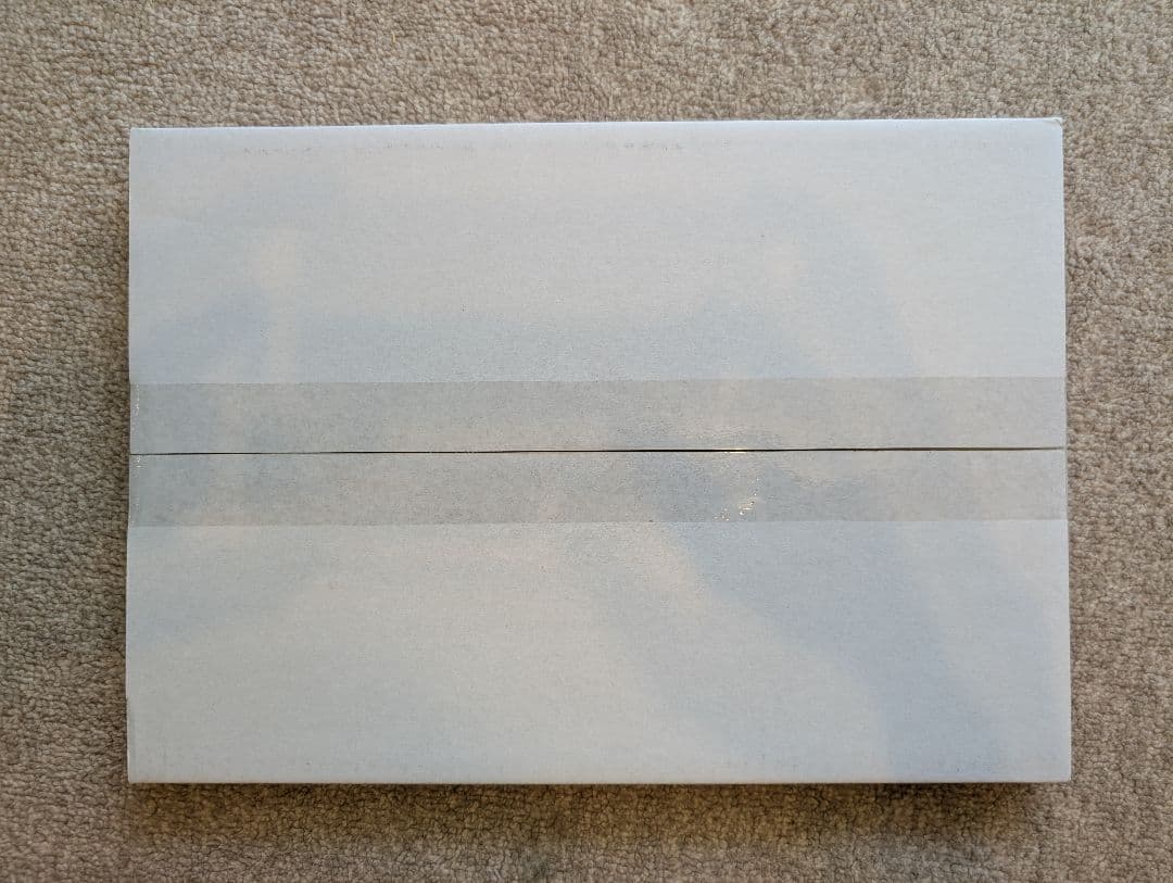 【Sakaeruni】未開封★プレート セット★ IGT peak