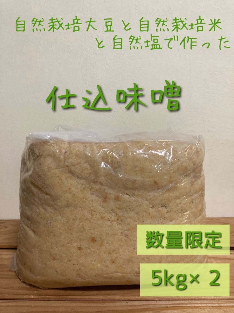 ❁⃘*.゜ニャンゴローさま専用❁⃘*.゜ 追加ご購入分