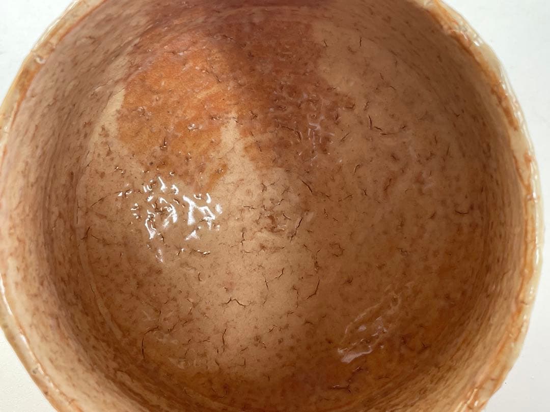 陶芸家　人間国宝　十一代　三輪休雪　萩　茶碗　萩焼　抹茶碗　共箱　三輪壽雪