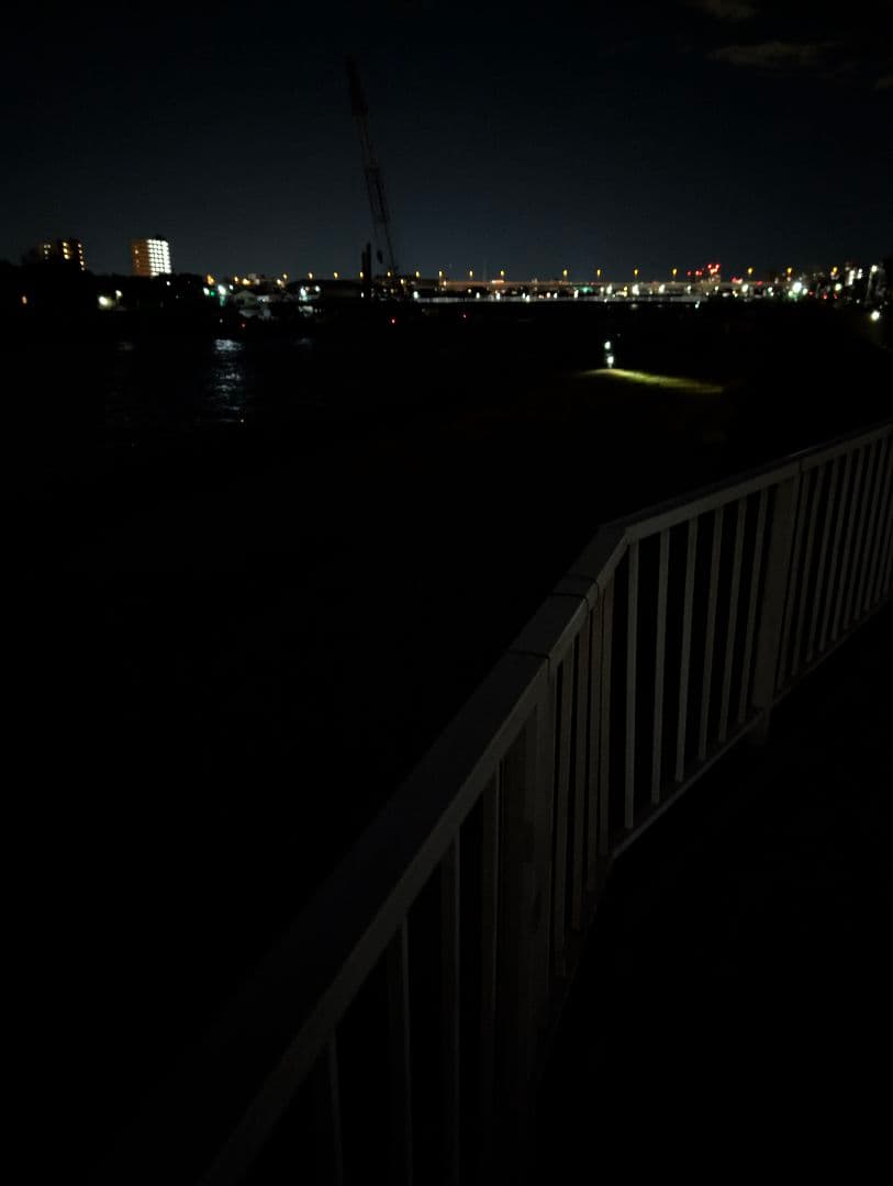 【新品】NVG3rdナイトビジョン&フルメタルIRポイントIRライト