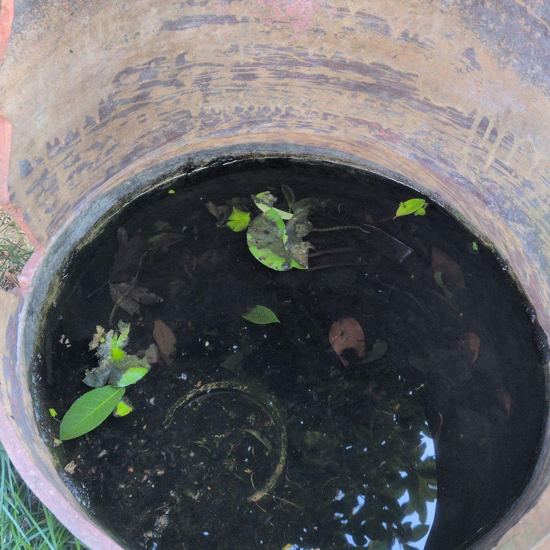 昭和レトロ 陶器製 金魚鉢　骨董品　アンティーク　メダカ　レトロ