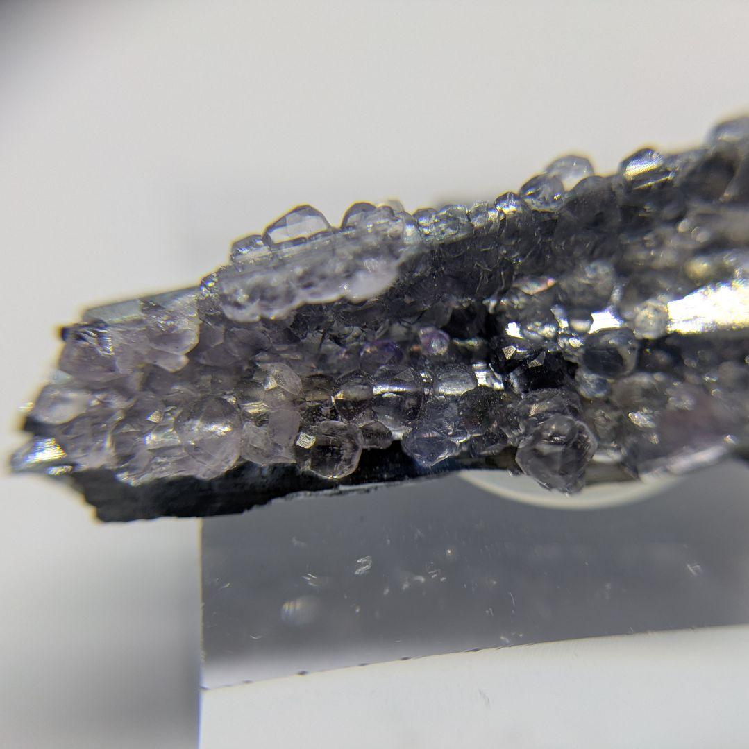 スティブナイト　フローライト　共生