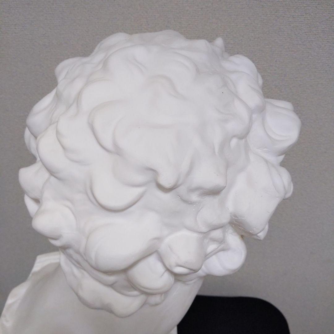 メディチ 石膏像