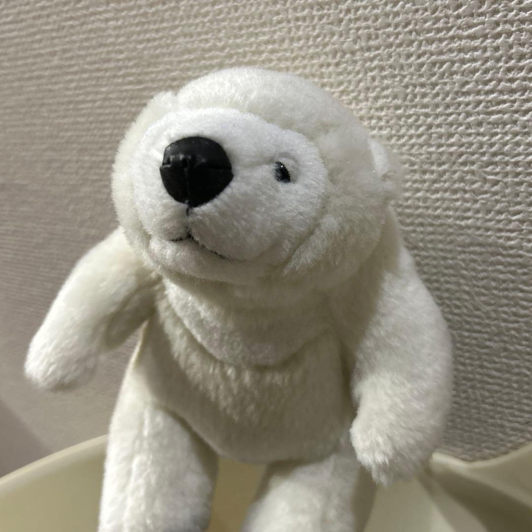 白　マレーちゃん　SS