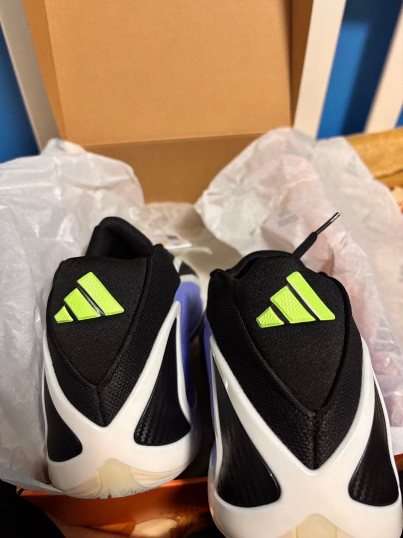 【美品】adidas ANTHONY EDWARDS 2 29cm 箱付き