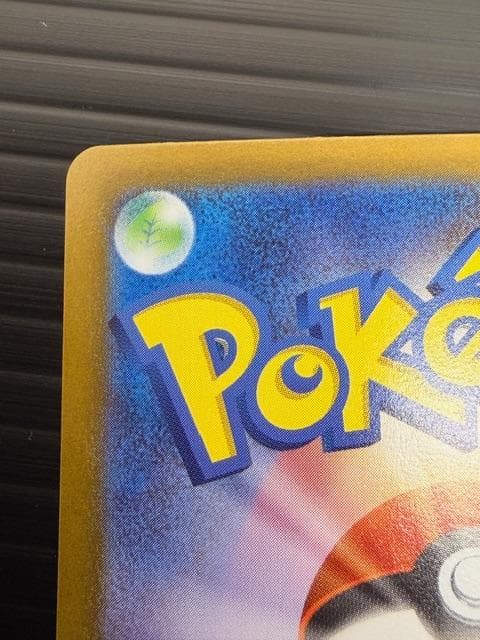 H-489 ポケモンカードゲーム メガリザードンX ex SAR 110/080