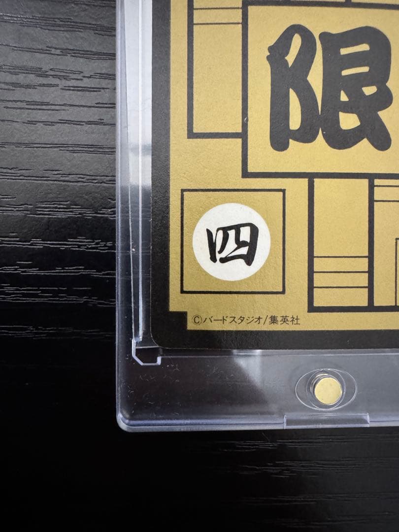 ドラゴンボール めちゃんこプロジェクト IV 孫悟飯 国内正規品 抽プレ