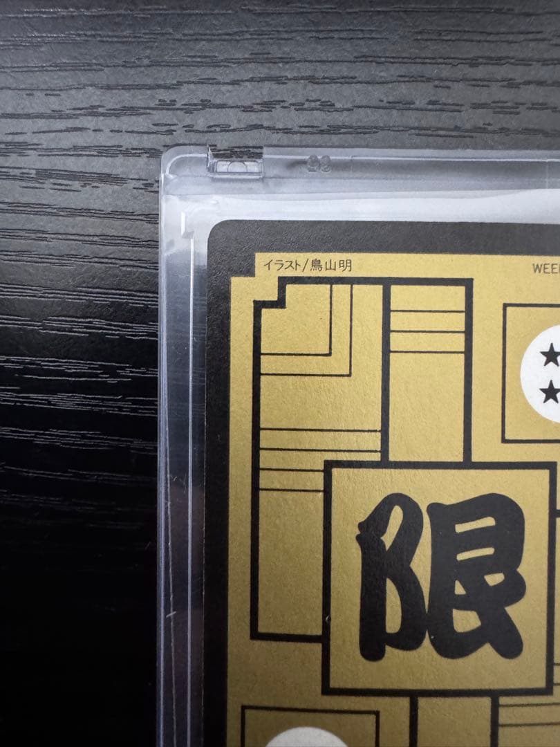 ドラゴンボール めちゃんこプロジェクト IV 孫悟飯 国内正規品 抽プレ